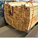 木材厂都在用木材新葡8883net