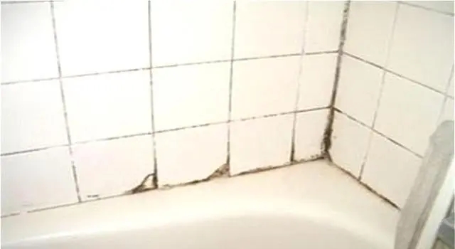 浴室瓷砖容易长霉？不妨试试它！